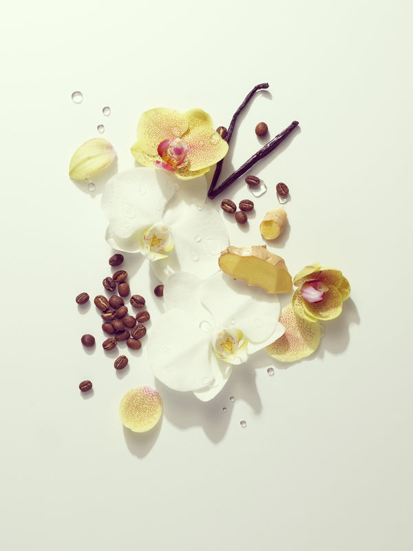 A styled flat-lay of white and yellow orchid flowers, vanilla beans, and dark brown coffee beans arranged on a clean white background with water droplets.