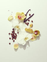Root Metamorphosis Hair Serum