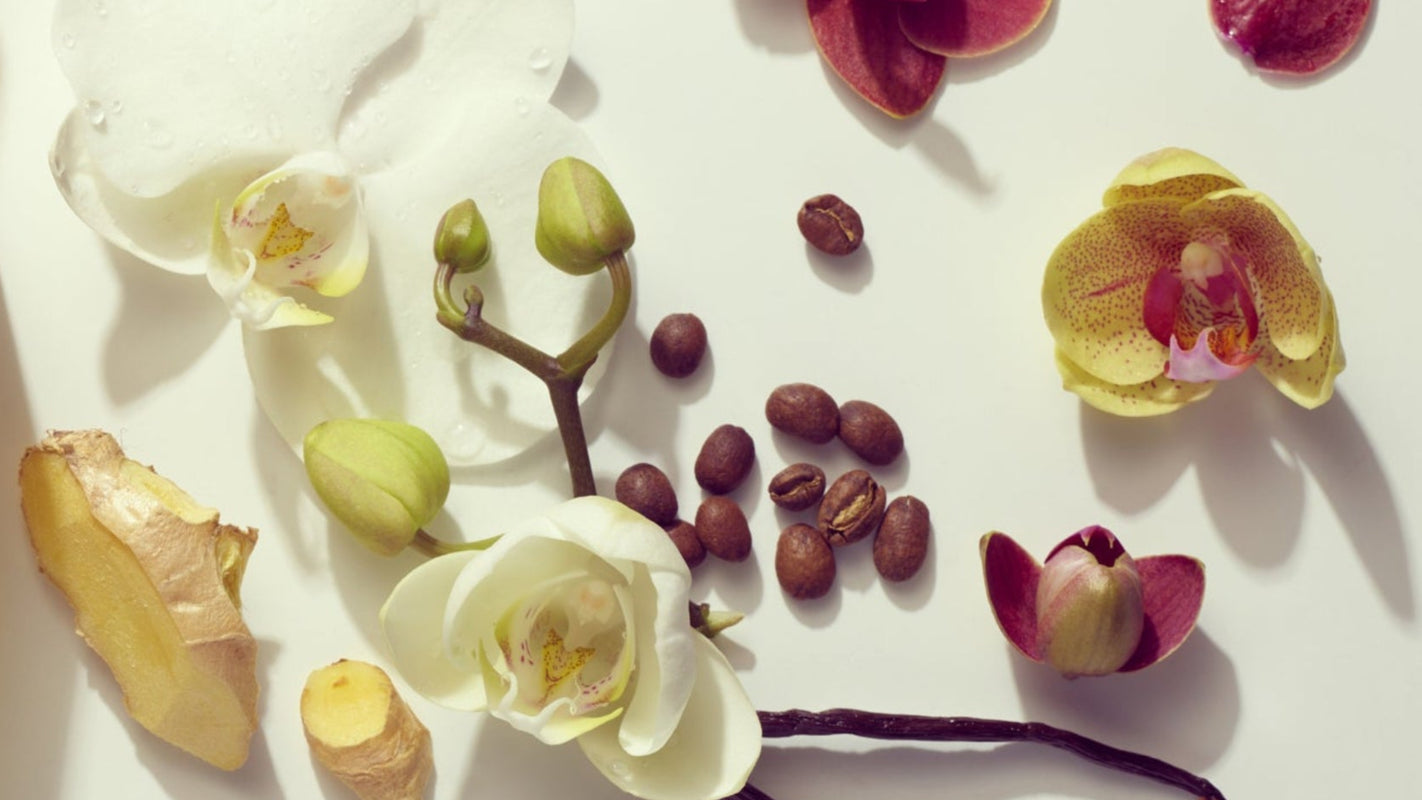 Variety of ethnobotanical ingredients used in Nani Pua Products