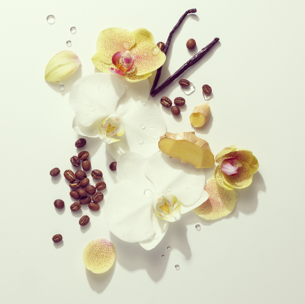 Nani Pua Root Metamorphosis Hair Oil Serum